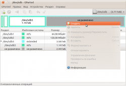 -dev-sdb - GParted_037.png