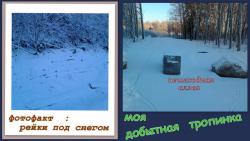 заячьи следы.jpg