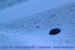 подушечки 043.jpg