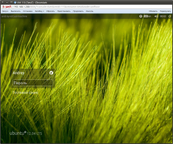 VM 115 (&#39;test&#39;) - Chromium_051.png