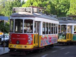 tram-28.jpg
