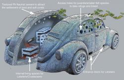 underwater-park (13).jpg