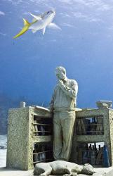 underwater-park (16).jpg