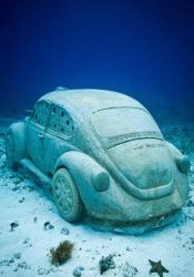 underwater-park (15).jpg