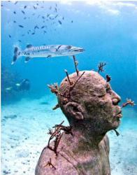 underwater-park (5).jpg