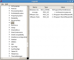 regedit_viewRun.png