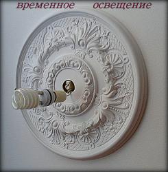 ХОСТА 070.JPG