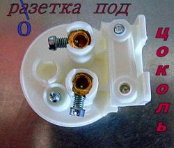 ХОСТА 056.JPG