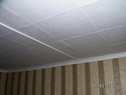 PICT0003.jpg
