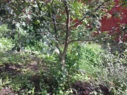 post-31014-0-60936300-1470133686_thumb.j