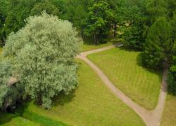 post-95456-0-01562600-1470390527_thumb.j