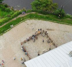 post-95456-0-25378400-1470388587_thumb.j