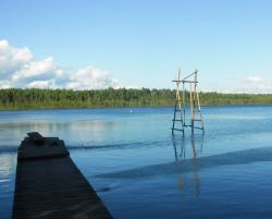 post-95456-0-28431200-1470387780_thumb.j