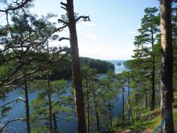 post-95456-0-39456800-1470387963_thumb.j