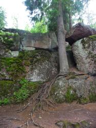 post-95456-0-46336500-1470388727_thumb.j