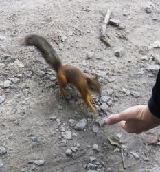 post-95456-0-48717100-1470390476_thumb.j