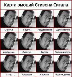 Steven Seagal.jpg