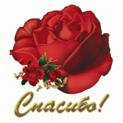 bolshoe_spasibo_524.gif