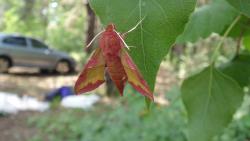 2011-05-21 14.35.10.jpg