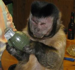 monkey &amp; grenade.jpg