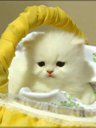 post-93896-063525300 1287866038_thumb.gi