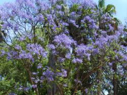 post-95456-008540200 1287933549_thumb.jp