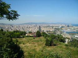 post-95456-047128300 1287937141_thumb.jp