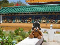 post-95456-051679300 1287933908_thumb.jp