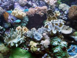 post-95456-055999200 1287933524_thumb.jp