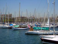 post-95456-071420000 1287932777_thumb.jp