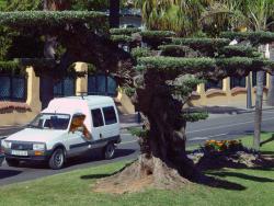 post-95456-078698400 1287933888_thumb.jp