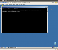 w2k3 - Proxmox Console - Mozilla Firefox_011.png