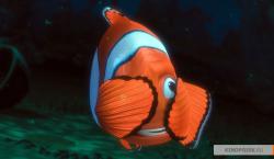 kinopoisk.ru-Finding-Nemo-1600286.jpg