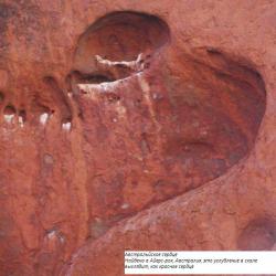 Австральйское сердце.jpg