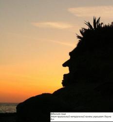 Ведьмино лицо.jpg