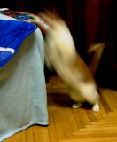 Мои фотки 2 017.jpg