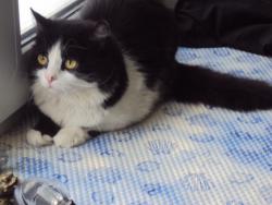 Копия DSC01307.JPG