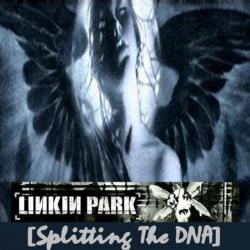 linkin_park_splitting_the_dna_front.jpg