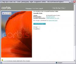 corbis.jpg