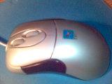 Mouse.jpg
