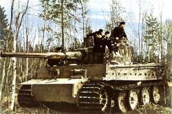 tiger2.jpg
